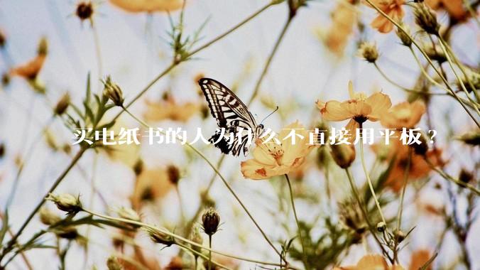 买电纸书的人为什么不直接用平板?