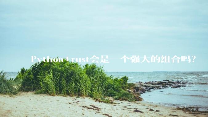 Python+rust会是一个强大的组合吗？